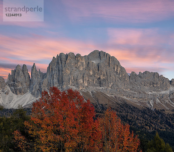 Sonnenaufgang am Rosengarten und Torri Del Vajolet im Herbst  Tires Valley  Dolomiten  Südtirol  Provinz Bozen  Italien  Europa