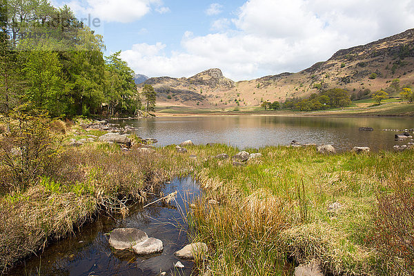 Blea Tarn  Little Langdale  The Lake District  UNESCO-Weltkulturerbe  Cumbria  England  Vereinigtes Königreich  Europa