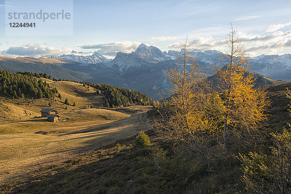 Geislerspitze bei Sonnenaufgang  Seiser Alm  Trentino  Italien  Europa