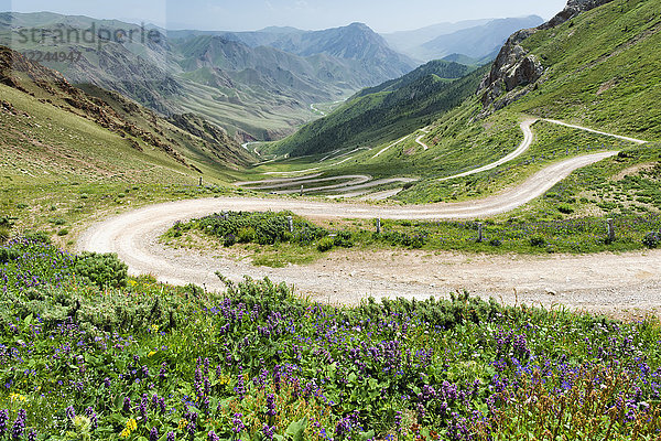 Straße zum Song-Kol-See  Papageienpass  Provinz Naryn  Kirgisistan  Zentralasien  Asien
