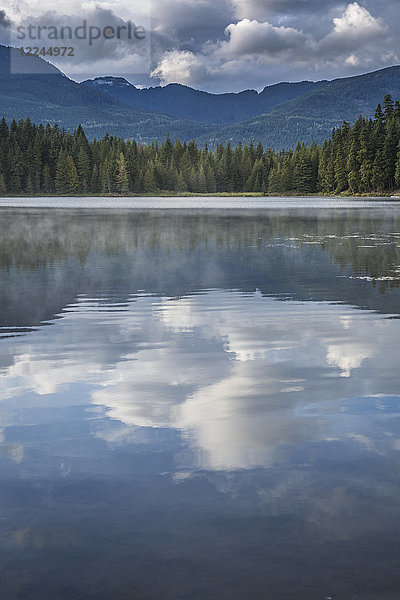 Nebel am Lost Lake  Ski Hill und umliegender Wald  Whistler  British Columbia  Kanada  Nordamerika