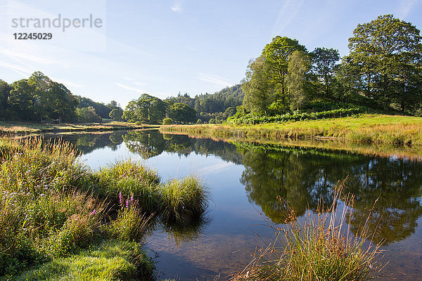 Fluss Brathay  Elter Water  Lake District  UNESCO-Welterbe  Cumbria  England  Vereinigtes Königreich  Europa