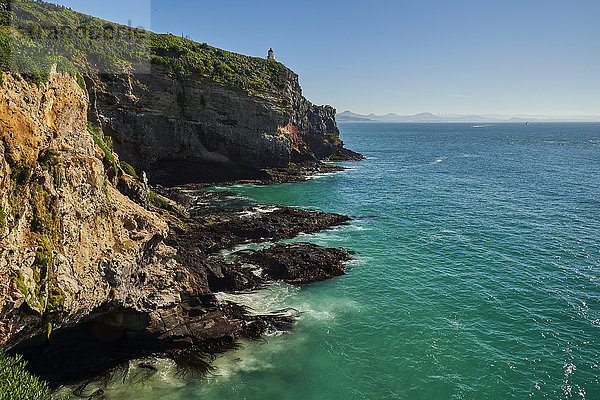 Klares Pazifikwasser am Harington Point auf der Otago-Halbinsel  Otago  Südinsel  Neuseeland  Pazifik
