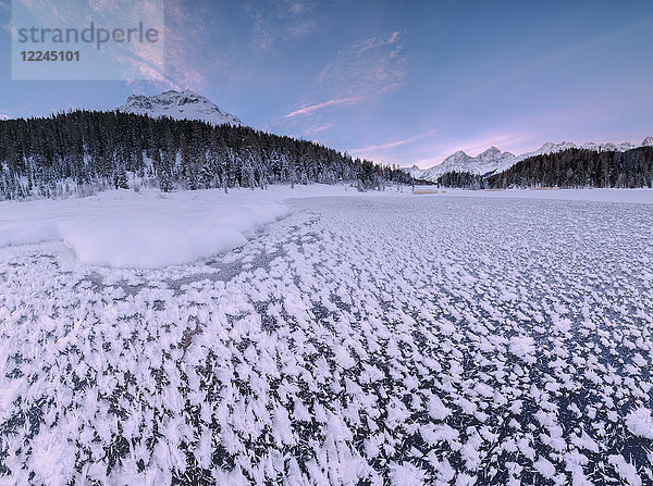 Panoramablick auf Eiskristalle bei Lej da Staz  St. Moritz  Engadin  Kanton Graubünden  Schweiz  Europa