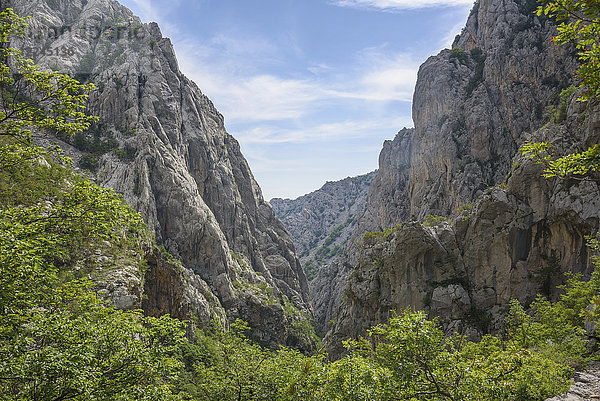 Kalksteinschlucht  Paklenica-Nationalpark  Kroatien  Europa