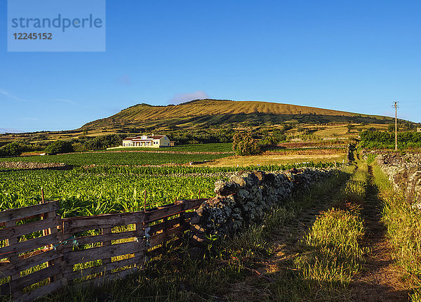 Landschaft mit Caldeira im Hintergrund  Insel Graciosa  Azoren  Portugal  Atlantik  Europa