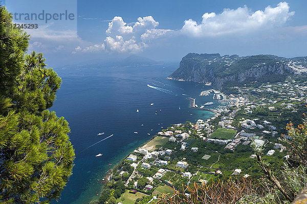 Blick über den Hafen in Richtung Festland  Insel Capri  Italien  Mittelmeer  Europa