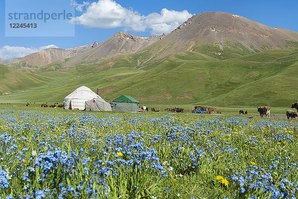 Nomaden-Jurtenlager  Song-Kol-See  Provinz Naryn  Kirgisistan  Zentralasien  Asien