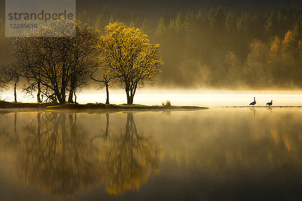 Herbst am Loch Ard  Trossachs National Park  Region Stirling  Schottland  Vereinigtes Königreich  Europa