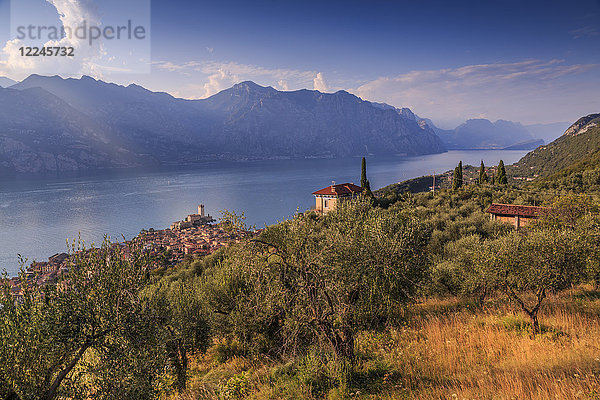 Ansicht des Castello Scaligero (Scaligerschloss)  Malcesine  Gardasee  Veneto  Italienische Seen  Italien  Europa