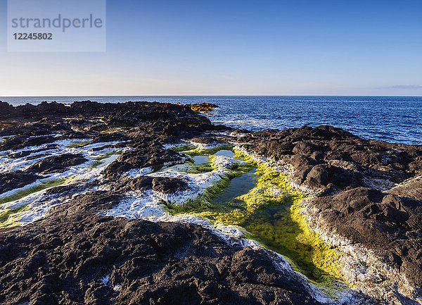 Küste bei Mosteiros  Insel Sao Miguel  Azoren  Portugal  Atlantik  Europa