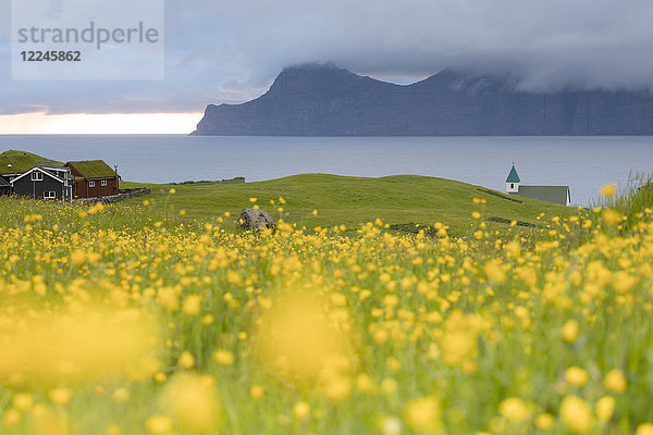 Wildblumen auf den Hügeln in Richtung der Insel Kalsoy von Gjogv aus gesehen  Insel Eysturoy  Färöer Inseln  Dänemark  Europa