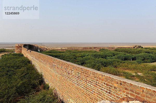 Teil der 7 km langen Mauer aus dem 18. Jahrhundert um das Lakhpat Fort am Kori Creek mit Blick auf die Grenze zwischen Indien und Pakistan  Gujarat  Indien  Asien