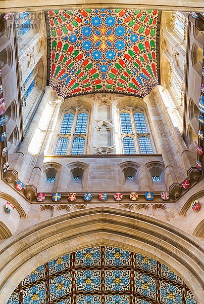 Dekorative Decke des Turms der Kathedrale von St. Edmundsbury  Bury St. Edmunds  Suffolk  England  Vereinigtes Königreich  Europa
