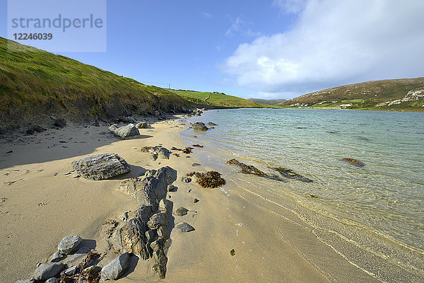 Sandige Bucht bei Crookhaven  Wild Atlantic Way  Halbinsel Mizen  Grafschaft Cork  Munster  Republik Irland  Europa