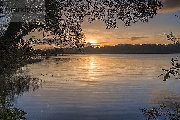 Sonnenaufgang über Kinlochard  Loch Ard  Aberfoyle  The Trossachs  Schottland  Vereinigtes Königreich  Europa