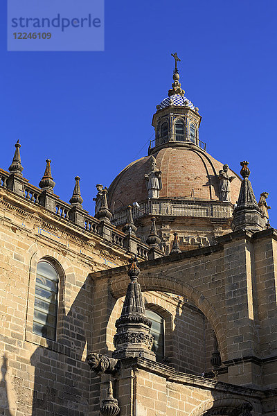 Kathedrale  Jerez de la Frontera  Andalusien  Spanien  Europa