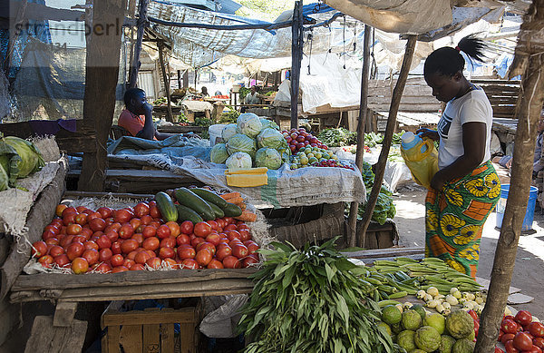 Eine große Auswahl an buntem Obst und Gemüse wird auf dem Markt in Pangani  Tansania  Ostafrika  Afrika angeboten.