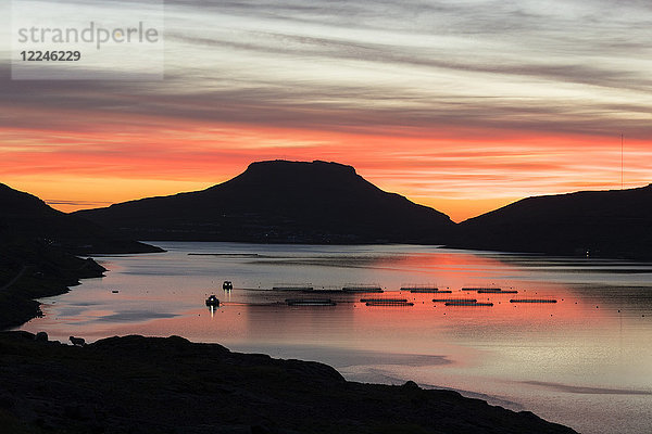 Kabeljaubehälter im Meer bei Sonnenaufgang  Eidi  Nordskali Fjord  Insel Eysturoy  Färöer Inseln  Dänemark  Europa