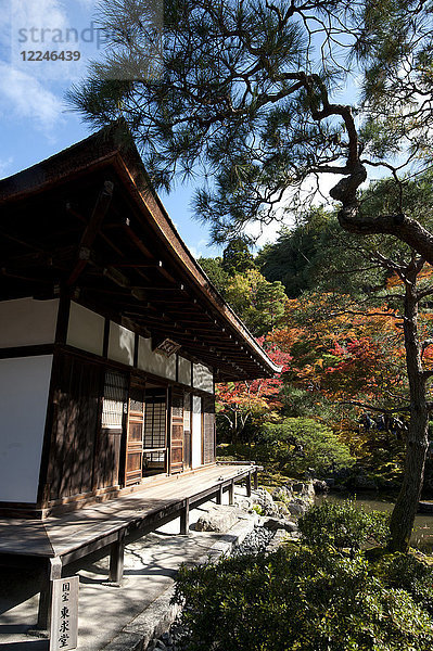 Der Silberne Pavillon  benannt nach dem Mondlicht  das sich auf den dunklen Holzwänden spiegelt  im Garten des Zen-Tempels Ginkakuji  Kyoto  Japan  Asien