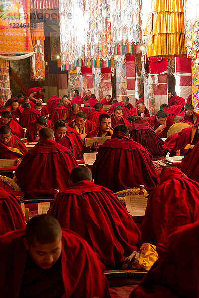 Tibetische buddhistische Mönche studieren buddhistische Schriften im Drepung-Kloster  Lhasa  Tibet  China  Asien