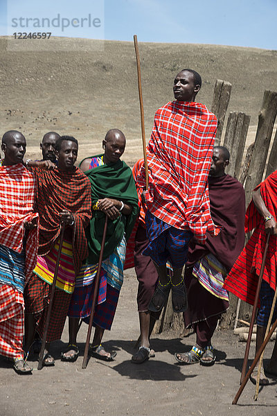 Massai-Stammesangehörige führen einen Tanz im Ngorongoro-Schutzgebiet auf  Tansania  Ostafrika  Afrika