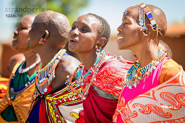 Masai-Frauen singen und tanzen  Masai Mara  Kenia  Ostafrika  Afrika