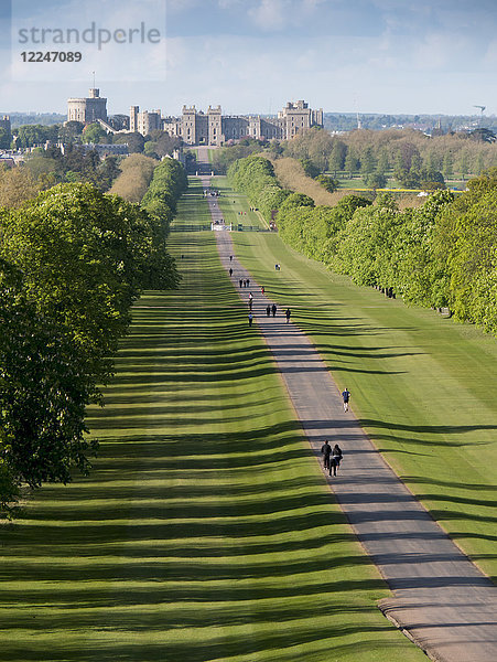 Schloss Windsor vom Long Walk aus  Windsor  Berkshire  England  Vereinigtes Königreich  Europa