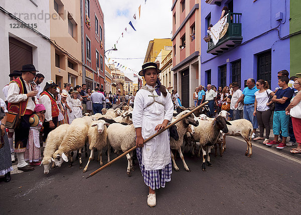 Frau mit Schafen  Romeria de San Benito de Abad  traditionelles Straßenfest  San Cristobal de La Laguna  Insel Teneriffa  Kanarische Inseln  Spanien  Europa