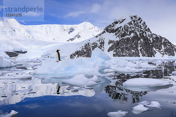 Eselspinguin auf einem Eisberg  der sich im ruhigen Wasser des sonnigen Neko-Hafens spiegelt  Berg- und Gletscherkulisse  Antarktis  Polarregionen