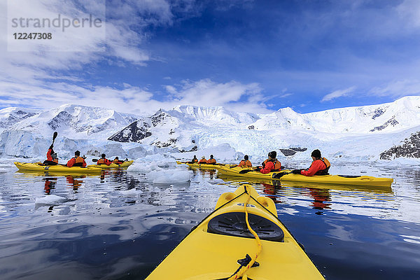 Kajakfahren zwischen spektakulären Eisbergen  Bergen und Gletschern  sonniger Neko Harbour  Anvord Bay  Antarktische Halbinsel  Antarktis  Polarregionen