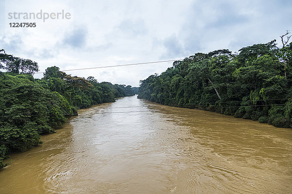 Manyu-Fluss im Dschungel von Südwest-Kamerun  Afrika