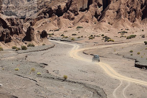 Wüstenlandschaft mit unbefestigter Straße im Regenbogental  Valle Arcoiris  bei San Pedro de Atacama  Región de Antofagasta  Chile  Südamerika