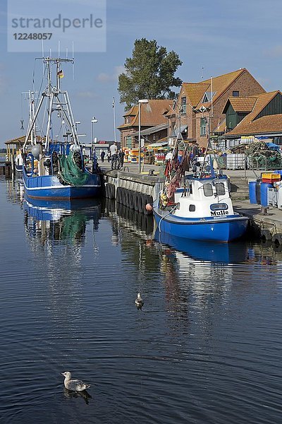 Fischereihafen  Fluss Schlei  Maasholm  Schleswig-Holstein  Deutschland  Europa
