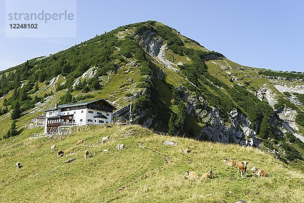 Schafreuter  auch Schafreiter  Scharfreiter  mit Tölzer Hütte  Hinterriß  Vorkarwendel  Karwendelgebirge  Tirol  Österreich  Europa