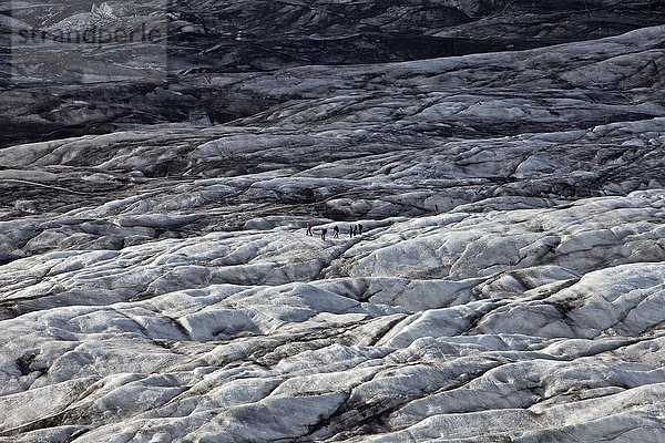Menschen auf der Gletscherzunge des Svinafellsjökull im Vatnajökull-Nationalpark  Hornarfjördur  Ostisland  Ostisland