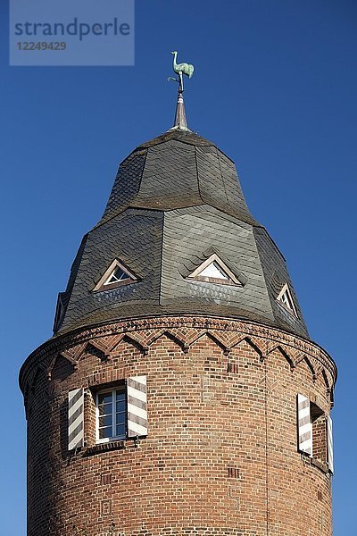 Mühlenturm mit Kran  das Wappentier von Kranenburg  Niederrhein  Nordrhein-Westfalen  Deutschland  Europa