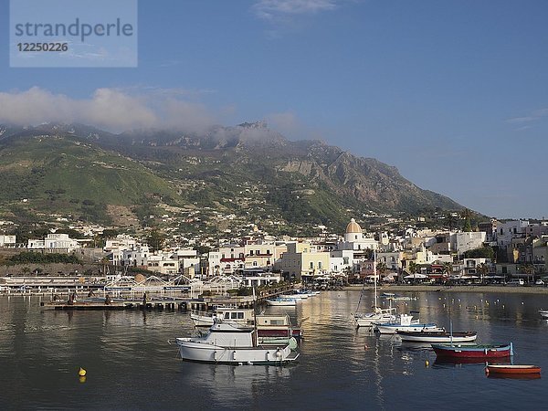 Hafen mit Fischerbooten  hinter dem Monte Epomeo  Forio  Ischia  Kalabrien  Italien  Europa