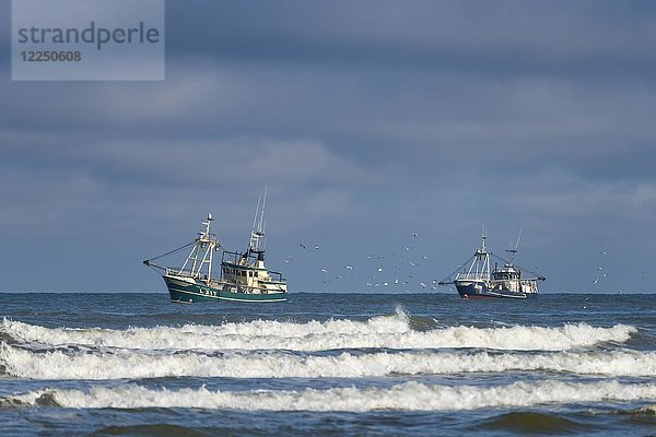 Krabbenkutter beim Schleppen der Netze vor der Küste  Henne Mølle  Region Syddanmark  Dänemark  Europa