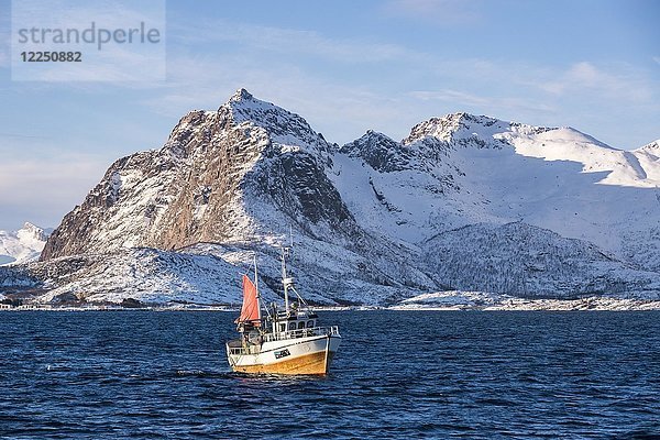 Traditionelles Fischerboot beim Einholen des Netzes  verschneite Berge im Hintergrund  Lofoten  Norwegen  Europa