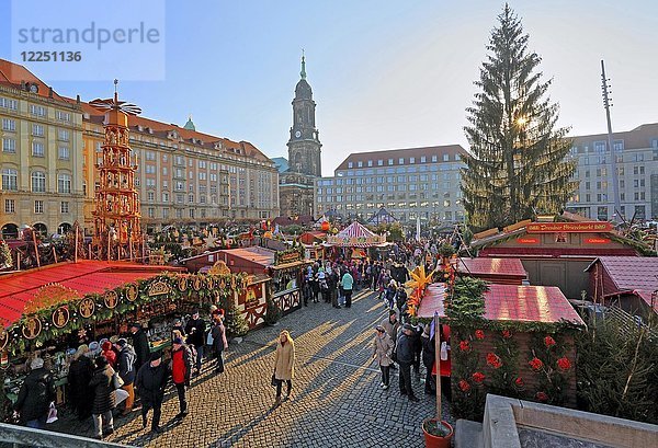 Striezelmarkt  Weihnachtsmarkt auf dem Altmarkt  Turm der Kreuzkirche im Hintergrund  Dresden  Sachsen  Deutschland  Europa