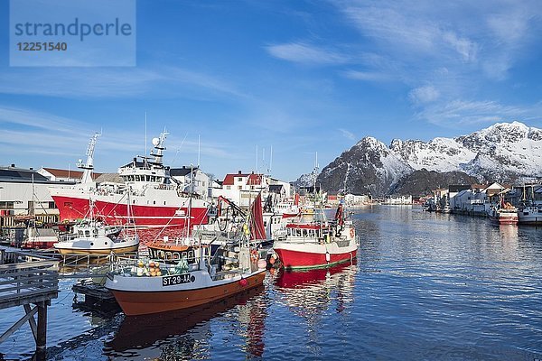 Fischerboote im Hafen von Henningsvaer  Lofoten  Norwegen  Europa