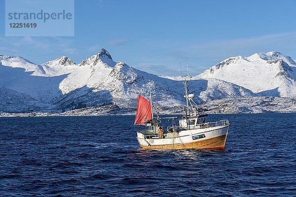 Fischerboot  Lofoten  Norwegen  Europa