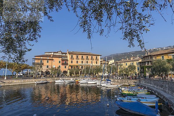 Hafen von Torri del Benaco  Gardasee  Venetien  Italien  Europa