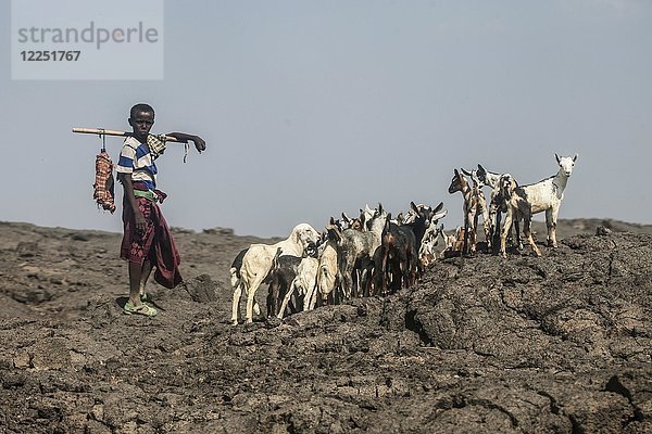 Ziegenhirte  Junge mit Ziegenherde  Danakil-Wüste  Äthiopien  Afrika