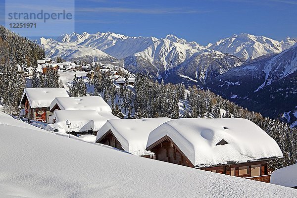Winterlandschaft mit verschneiten Chalets  im Hintergrund Ober Rappehorn  3176m und Gross Schinhorn  2939m  Riederalp  Aletschgebiet  Oberwallis  Wallis  Schweiz  Europa