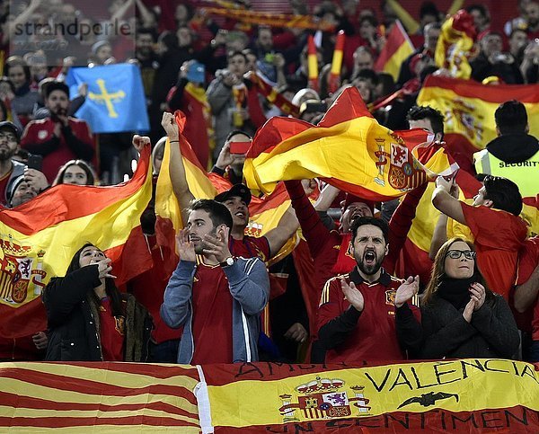 Jubel der spanischen Fans während eines Fußballspiels  Esprit Arena  Düsseldorf  Nordrhein-Westfalen  Deutschland  Europa