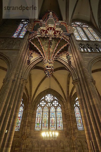 Orgel  Gotische Schwalbennestorgel im Kirchenschiff  Straßburger Münster  Straßburg  Elsass  Frankreich  Europa