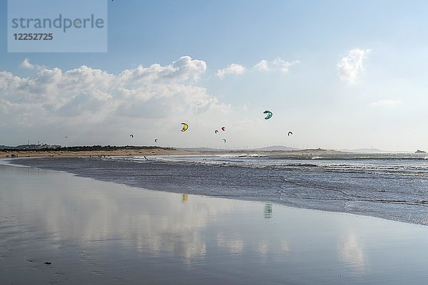 Kitesurfer am Strand  Essaouira  Marokko  Afrika