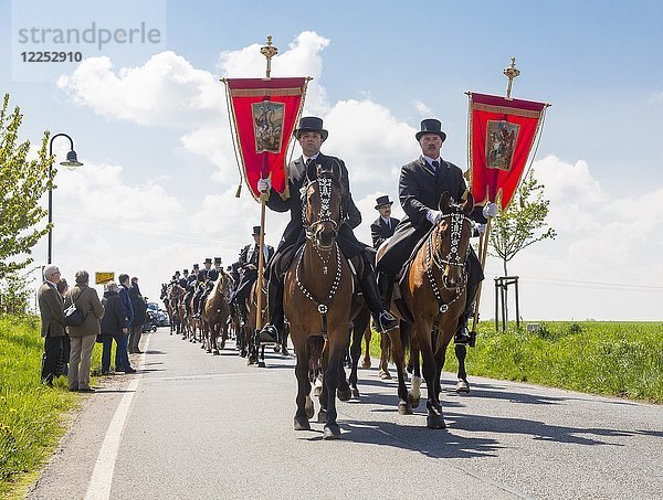 Sorbische Männer reiten auf geschmückten Pferden  traditionelles Osterreiten am Ostersonntag  Radibor  Sachsen  Deutschland  Europa